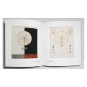 Hilma af Klint: Seeing is believing